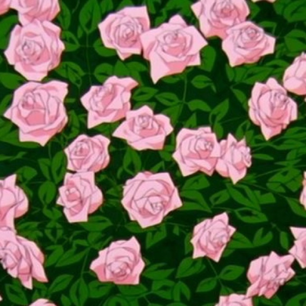 Meet your Posher, Estefania